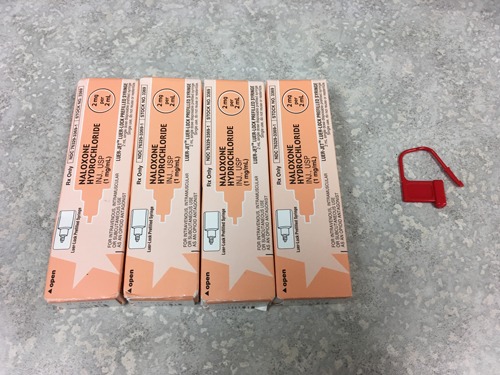 Naloxone Pouch Contents